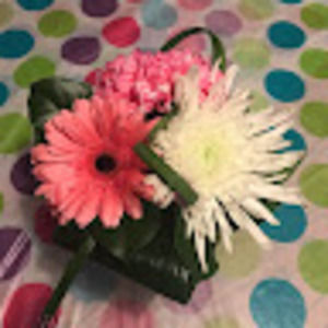 Meet your Posher, Emily